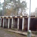 Zde je vidět střecha tak jak je nyní dokončena. Ještě se se musí doplechovat přední část a kousek zadní. 